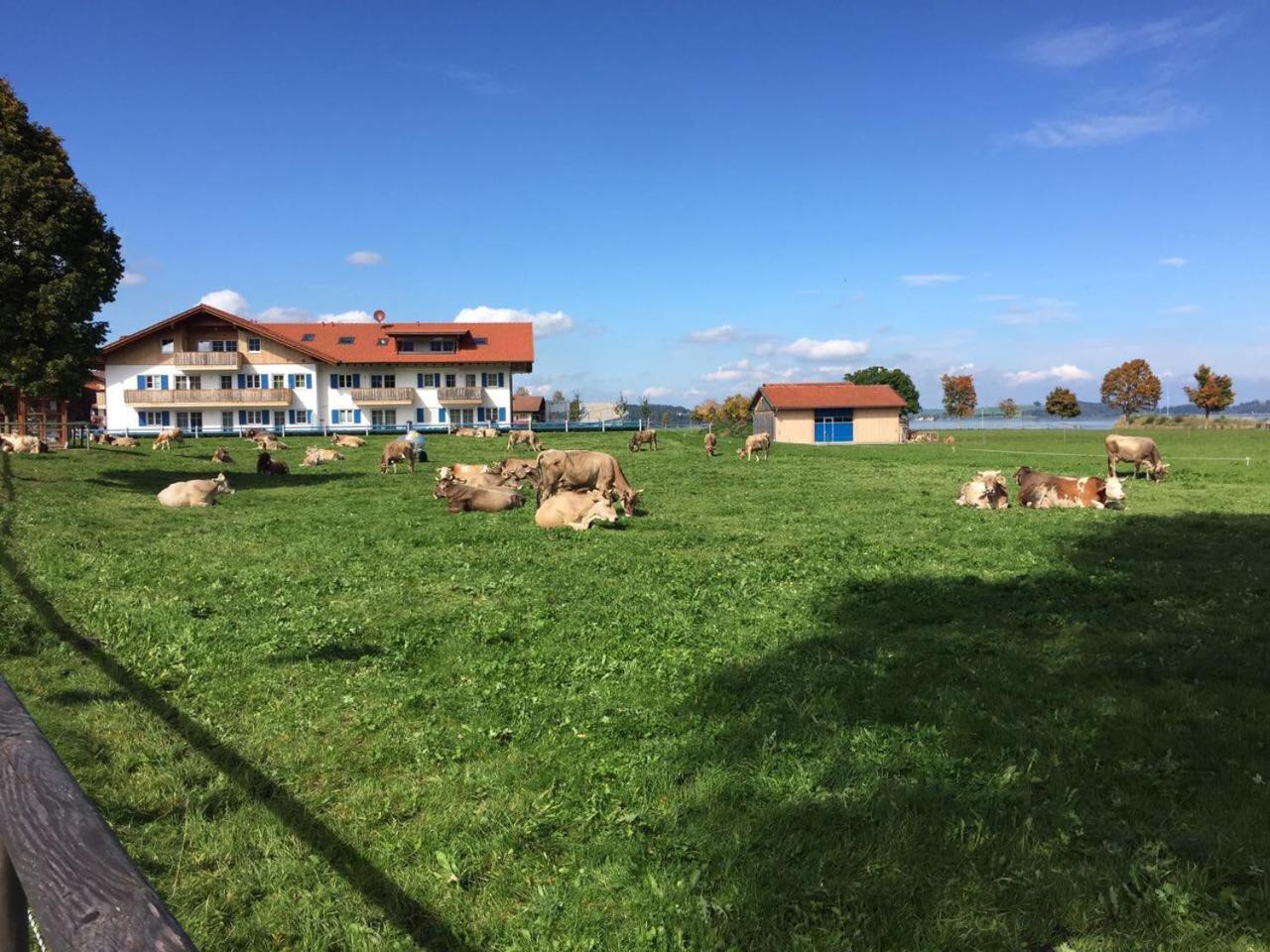 Alpenglueck De Luxe Ferienwohnung Am Forggensee Schwangau Esterno foto